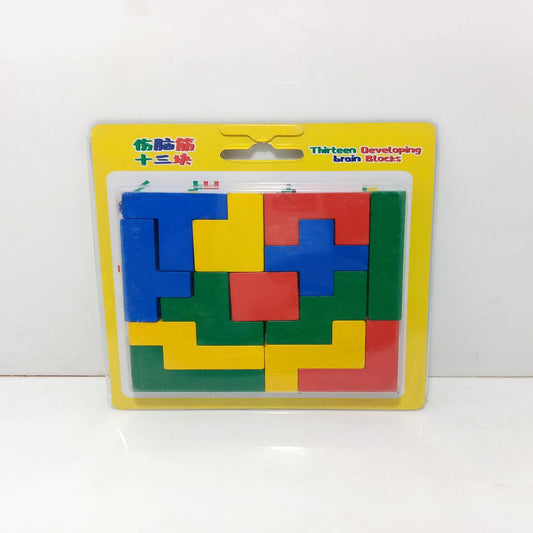 Brain Developing Puzzle Blocks